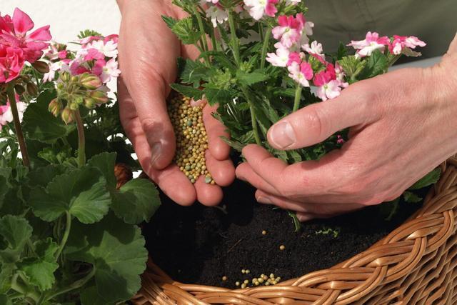 花卉追肥用什么肥料