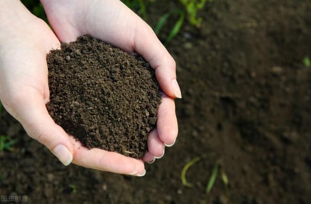酸性土壤施什么肥